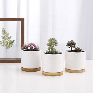 Ceramic Succulent Flower Pot with Bamboo Tray (various colors) *Wholesale (10pcs+)*